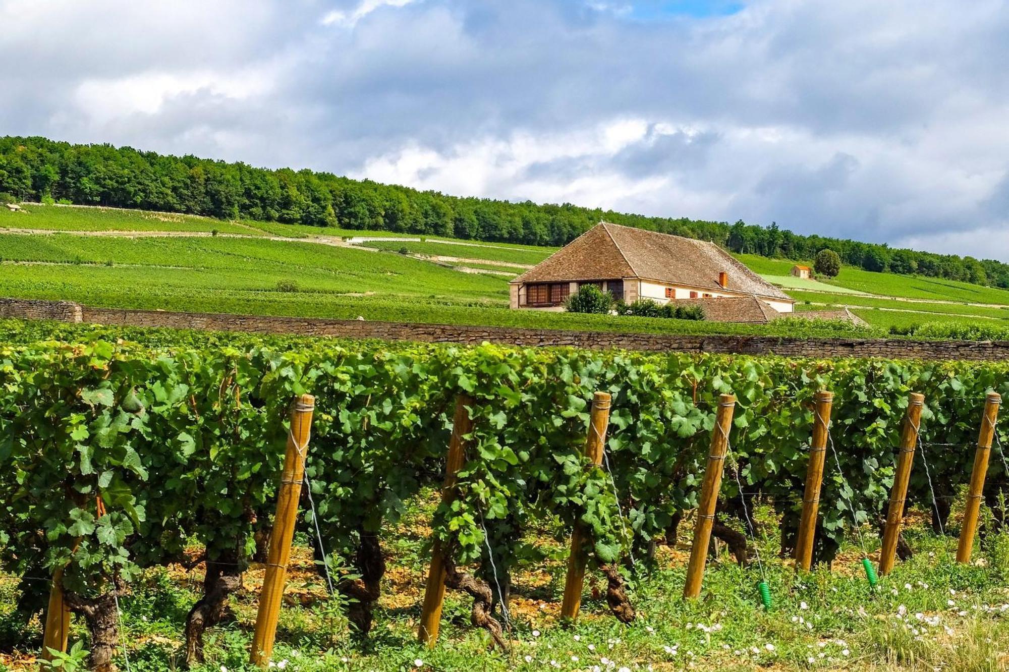 Voco Beaune , Cite Des Vins By Ihg Экстерьер фото
